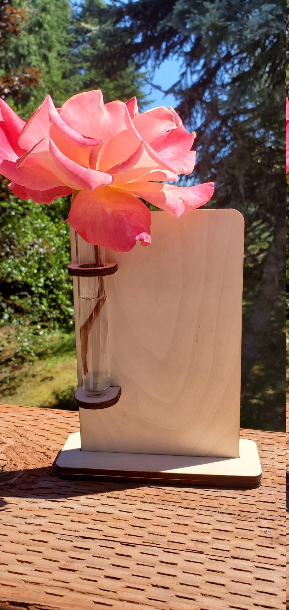 Bud Vase using Test Tube, Personalize with quote, song or picture, Mom gift, Wedding, engagement, pet loss, rainbow bridge, memorial gift,